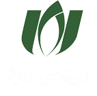 نظام صنفی